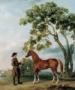 George Stubbs Lord Grosvenor's Arabian Stallion with a Groom oil